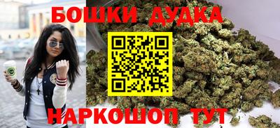 крисы Брянск