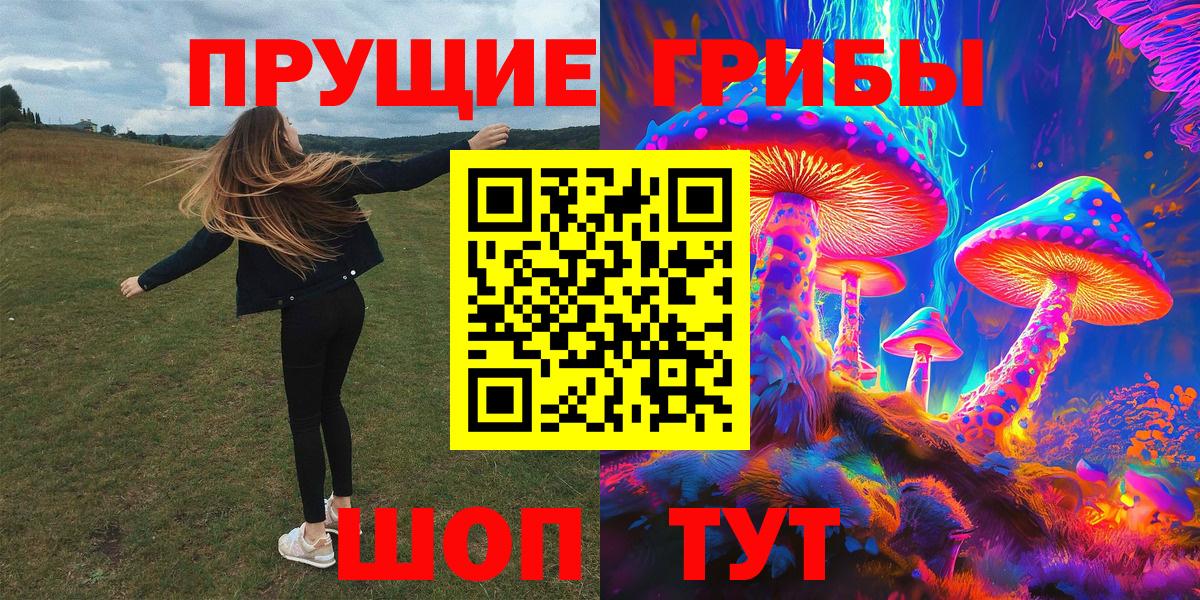 Псилоцибиновые грибы ЛСД Грозный