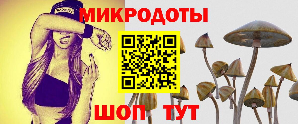 Псилоцибиновые грибы GOLDEN TEACHER  Вход с VPN  Грозный 